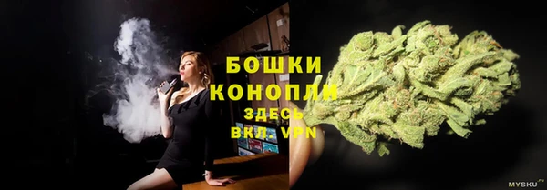 прущие крисы Сатка