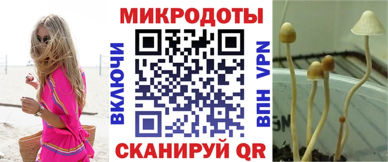 даркнет сайт  Гаджиево  Галлюциногенные грибы Magic Shrooms 